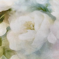 Ранфорс digital NAPOLYON - №6923 Нежность утра яркая